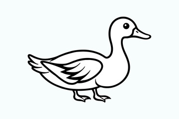 duck isolated on white background