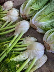 fresh green onions