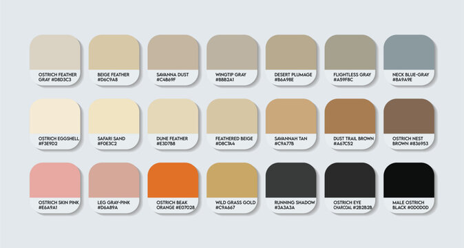 Common Ostrich Color Palette. Common Ostrich color Tone Swatch Chart with HEX Codes and Color Names. Ostrich Feather and Body Colors Tones Variants. Feet, Beak and Eye Accents Tones colure Palette.