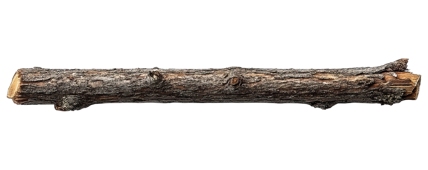 A dry, brown, fallen log with bark texture against a black backdrop