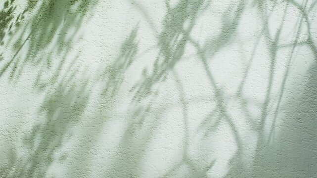 キラキラと壁に落ちる木漏れ日　夏の強い日差しと木陰　風に揺れる木の葉の影　暑い光と強い日光　夏・日焼け・紫外線・夏休み・バカンス・森・街の風景
