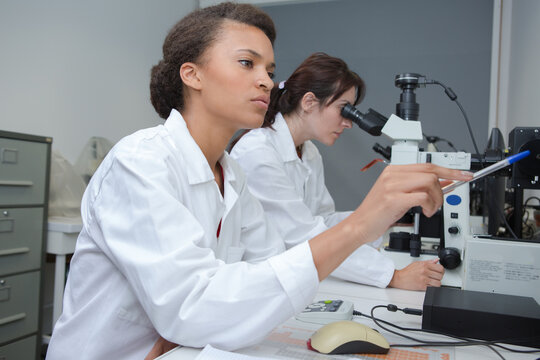 female lab workesr look for chemical data in laboratory