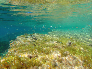 Ocean blue underwater with sunrays, Underwater Sea Deep Water Abstract Sunshine, sea wave , clean...