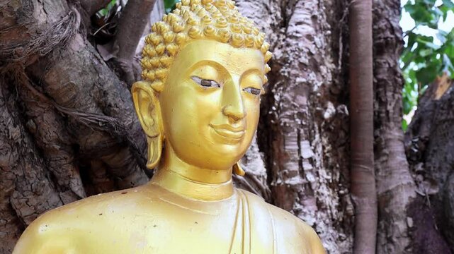 Golden Buddha statue in front of a Bodhi tree, symbolizing peace, faith, and Buddhism in a sacred and tranquil temple environment, close-up