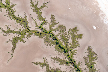 Tidal patterns below forming realistic effects formed by mudflat vegetation exposed when tide goes...