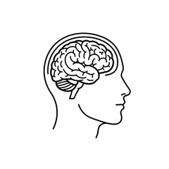 Human Brain Anatomy Illustration Detailed Line Drawing of the Cerebral Cortex, Cerebellum, and Brainstem
