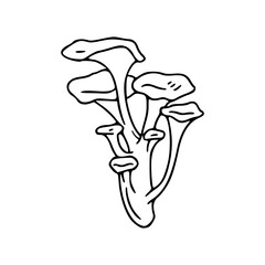 oyster mushroom outline
