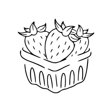 fruit basket line art
