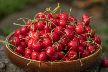 Fresh and tasty red cherries picked from the tree. The fruit of spring in Moldova