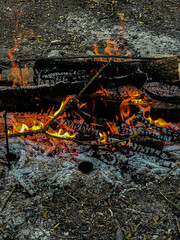 Close-up of bright orange and yellow flames of a burning fire. Campfire or fireplace flames with...