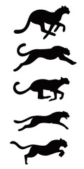 Silhouette Collection of Running Cheetahs Graceful Movement and Powerful Energy Animal