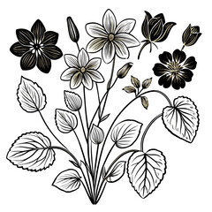 Elegant Black and White Floral Bouquet Illustration