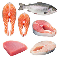 Raw beef steak, chicken breast, and salmon on Isolated transparent background png. generated with AI