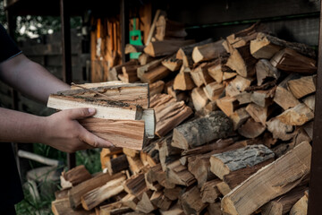 Close-up of a person stacking split firewood in an outdoor woodpile, with a background full of...