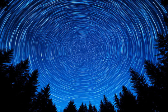 Star trails captured in a serene forest setting at night