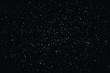 Vector transparent white snowfall background