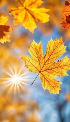 Autumn s Embrace A Golden Maple Leaf Dancing Gracefully in the Sunlight Amidst Vibrant Colors