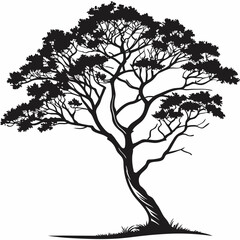 Fototapeta premium tree silhouette vector