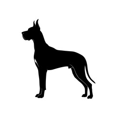 Elegant great dane dog standing proudly in a classic silhouette profile view isolated on transparent background
