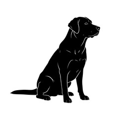 Obraz premium Elegant black labrador retriever dog sitting attentively and looking to the side in a clean silhouette style isolated on transparent background