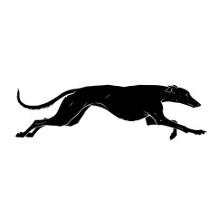 Graceful black silhouette of a greyhound dog running at full speed with its body stretched out and tail flowing isolated on transparent background silhouette