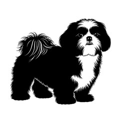 A striking black and white silhouette of a fluffy shih tzu dog standing attentively showcasing its distinctive facial markings and bushy tail isolated on transparent background silhouette