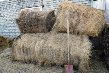 hay, bale, straw, agriculture, farm, rural, wall, brick, roll, dry, field, harvest, rustic,...