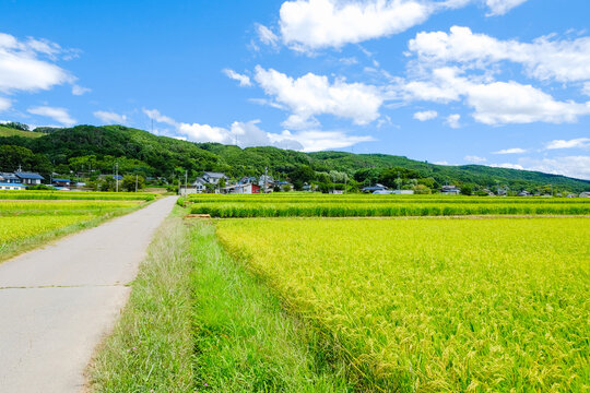 田舎」の写真素材 | 4,442,300件の無料イラスト画像 | Adobe Stock