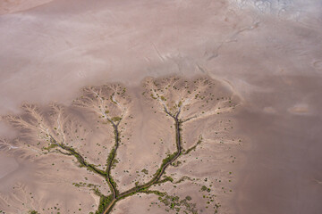 Tidal patterns below forming realistic effects formed by mudflat vegetation exposed when tide goes...
