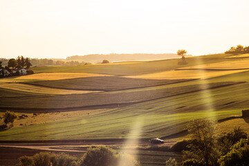 Golden Hour Over Rolling Fields in Bretten, Baden-Württemberg, Germany