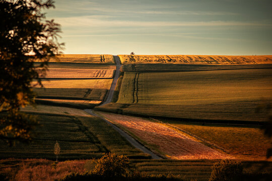 Golden Hour Over Rolling Fields in Bretten, Baden-W&uuml;rttemberg, Germany