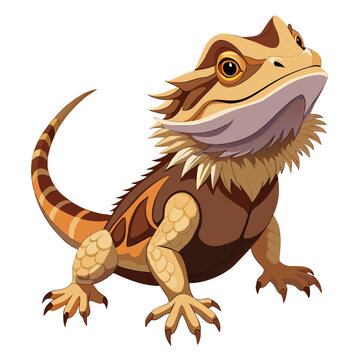 Pogona Vitticeps Vector Illustration &ndash; Aggressive Defense Position in Terrarium