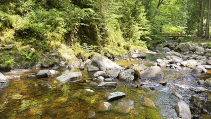 Creek with bridge in the background