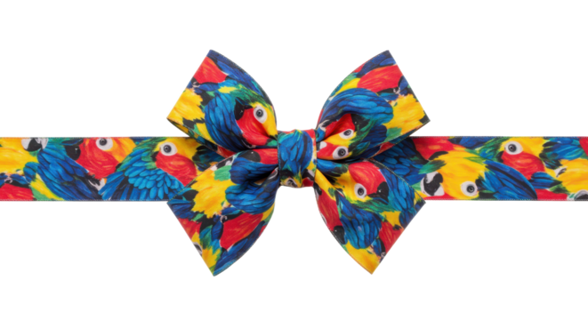 Colorful parrot print bow tie on ribbon. transparent png