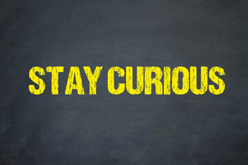 Stay Curious	
