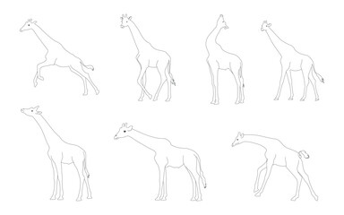 Set of black giraffe line drawings, isolated background. Vector illustration.