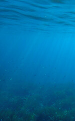 Ocean blue underwater with sunrays, Underwater Sea Deep Water Abstract Sunshine, sea wave , clean waters in summer time, Natural underwater seascape, sand on ocean floor and water surface with sunligh