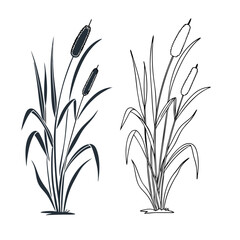 Cattail Wetland Plant Icon Set – Line, Solid, and Filled Outline Styles – Minimal Vector Collection