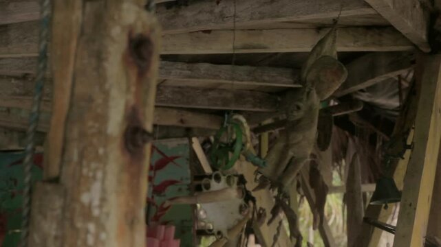 Freaky decorative waste at hermit's house in the Darien Gap - Colombia