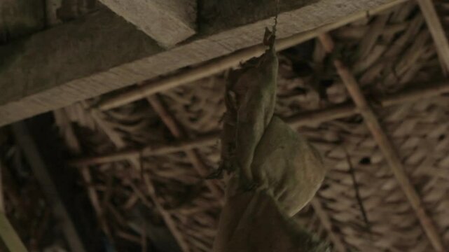 Close-up of Freaky doll hanging and decorating a hermit's house in the Darien Gap - Colombia