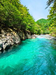 Naklejka premium 阿寺渓谷 夏