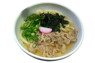 A Flavorful Journey: Discover the Richness of Traditional Japanese Meat Udon