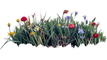 Vibrant Wildflower Meadow