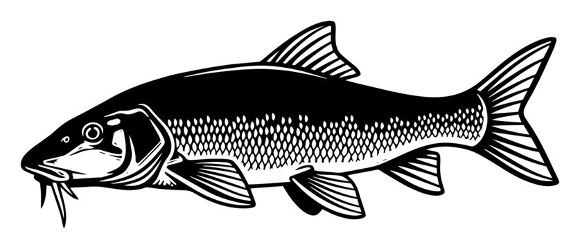 hand drawn barbel fish silhouette with line details