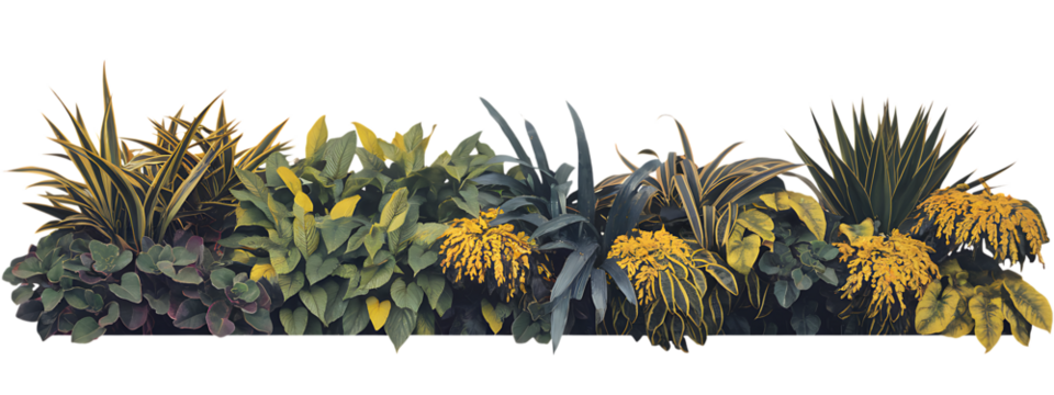 Planted Border Design