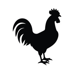 Standing Farm Rooster or Cockerel Black Silhouette Vector Graphic.