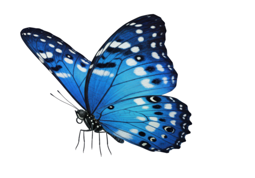 Isolated Vibrant Blue Butterfly with White Spots - Powered by Adobe