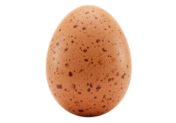 Isolated Single Speckled Brown Chicken Egg