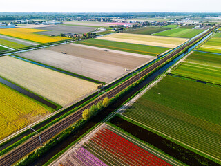 A vibrant aerial view of colorful tulip fields in full bloom, arranged in neat rows. The bright...