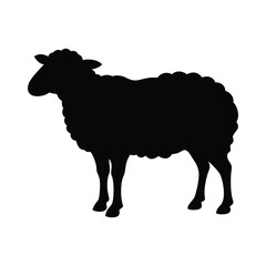 Standing Sheep with Woolly Coat Black Silhouette Vector Graphic.